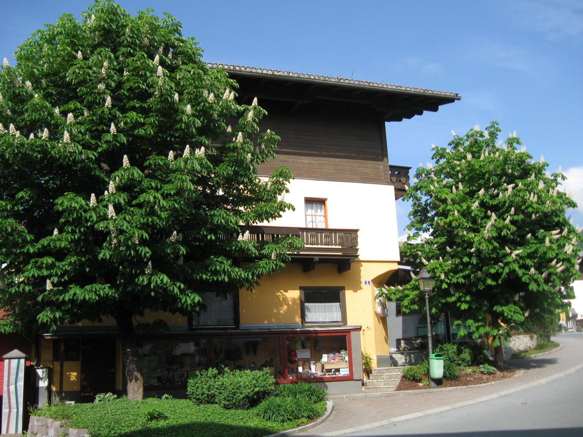 Haus Am Dorfplatz Apartamento Uttendorf Exterior foto